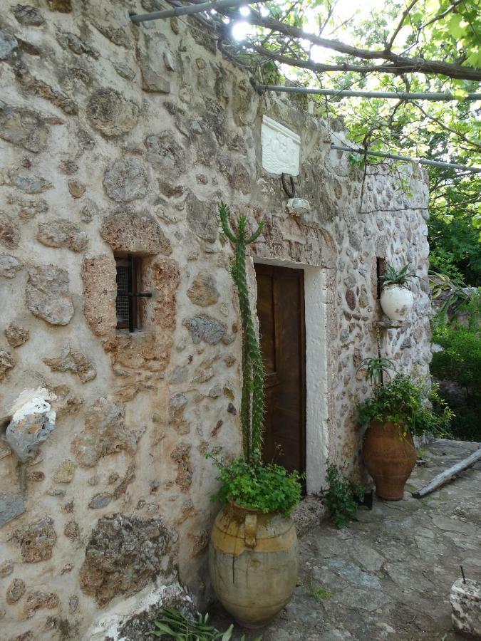 Appartamento Nikos House Káto Zákros Esterno foto